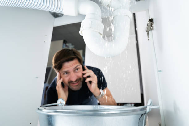 Best Plumbing Services Near Me  in Harvey, IL