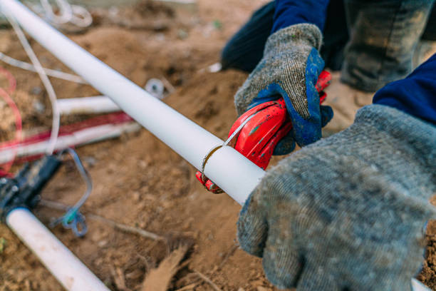 Best Sewer Line Replacement  in Harvey, IL